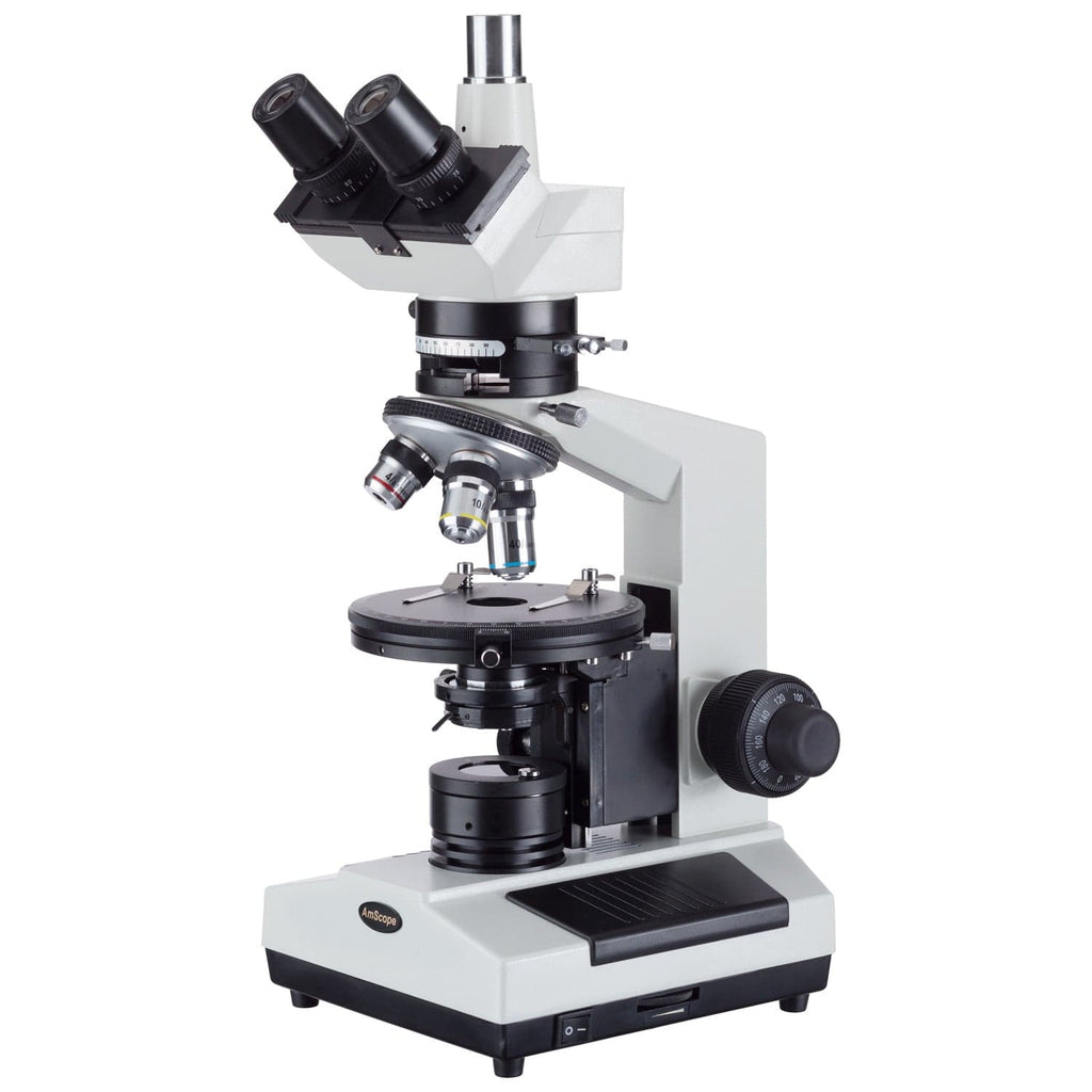 AmScope - Set di 100 vetrini preparati per microscopio, in vetro, Set B, Prepared Biology Slide