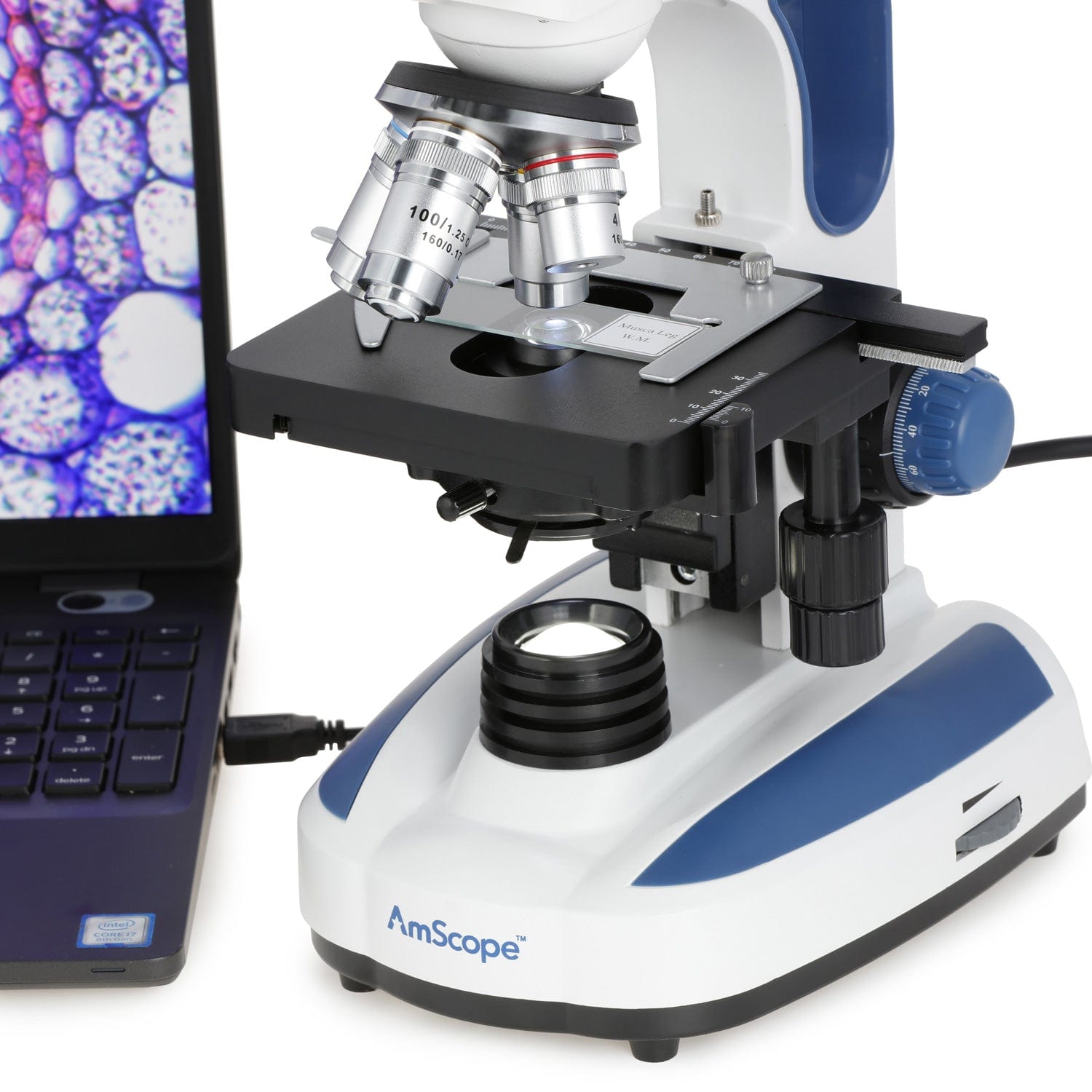 AmScope B270 Series Advanced Student & Professional Binocular Compound Microscope w/ Ergonomic Design, Microbe Resistant Coating
