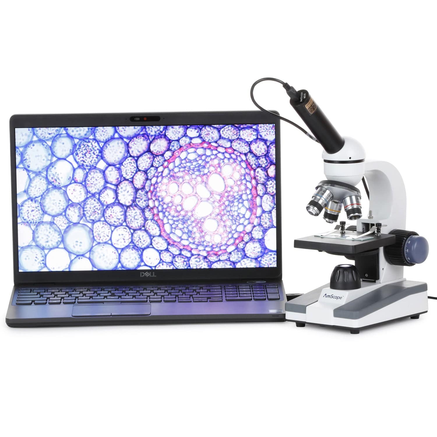 AmScope M150 Series Portable Student Monocular Compound Microscope 40X-1000X Magnification with LED and 1MP USB Eyepiece Camera