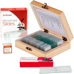 25 Microscope Prepared Slides, 72 Pre-Cleaned Blank Plate Slides, 12 Single Depression Concave Slides and 100 Coverslips