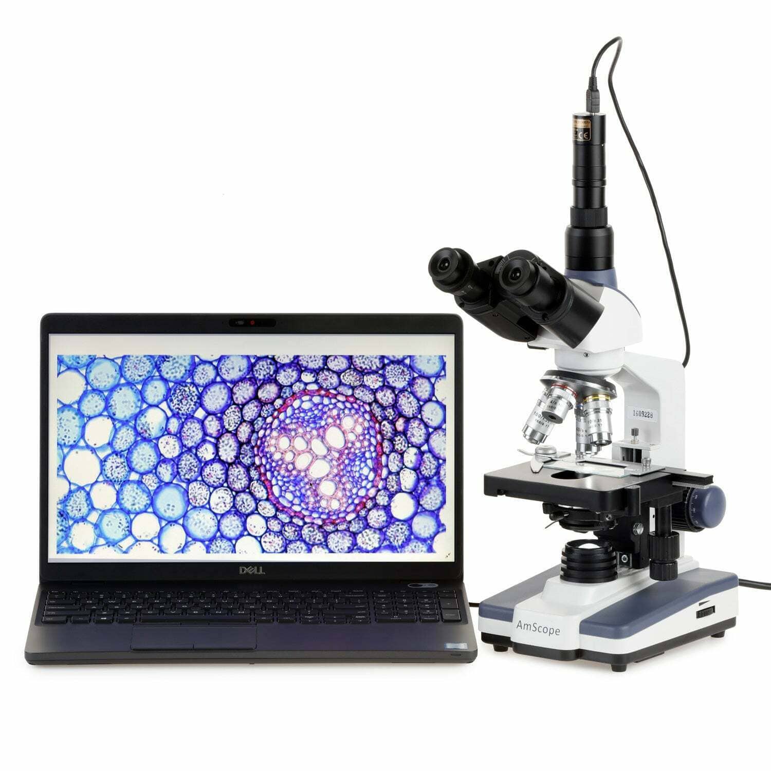 AmScope T120 Series Trinocular LED Compound Microscope 40X to 2500X Magnification with Siedentopf Head + 5MP Digital Eyepiece