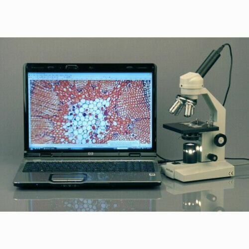 AmScope M500 Series Biological Student Cordless Monocular Compound Microscope 40X-2500X Magnification with LED, Mechanical Stage and USB Digital Eyepiece Camera