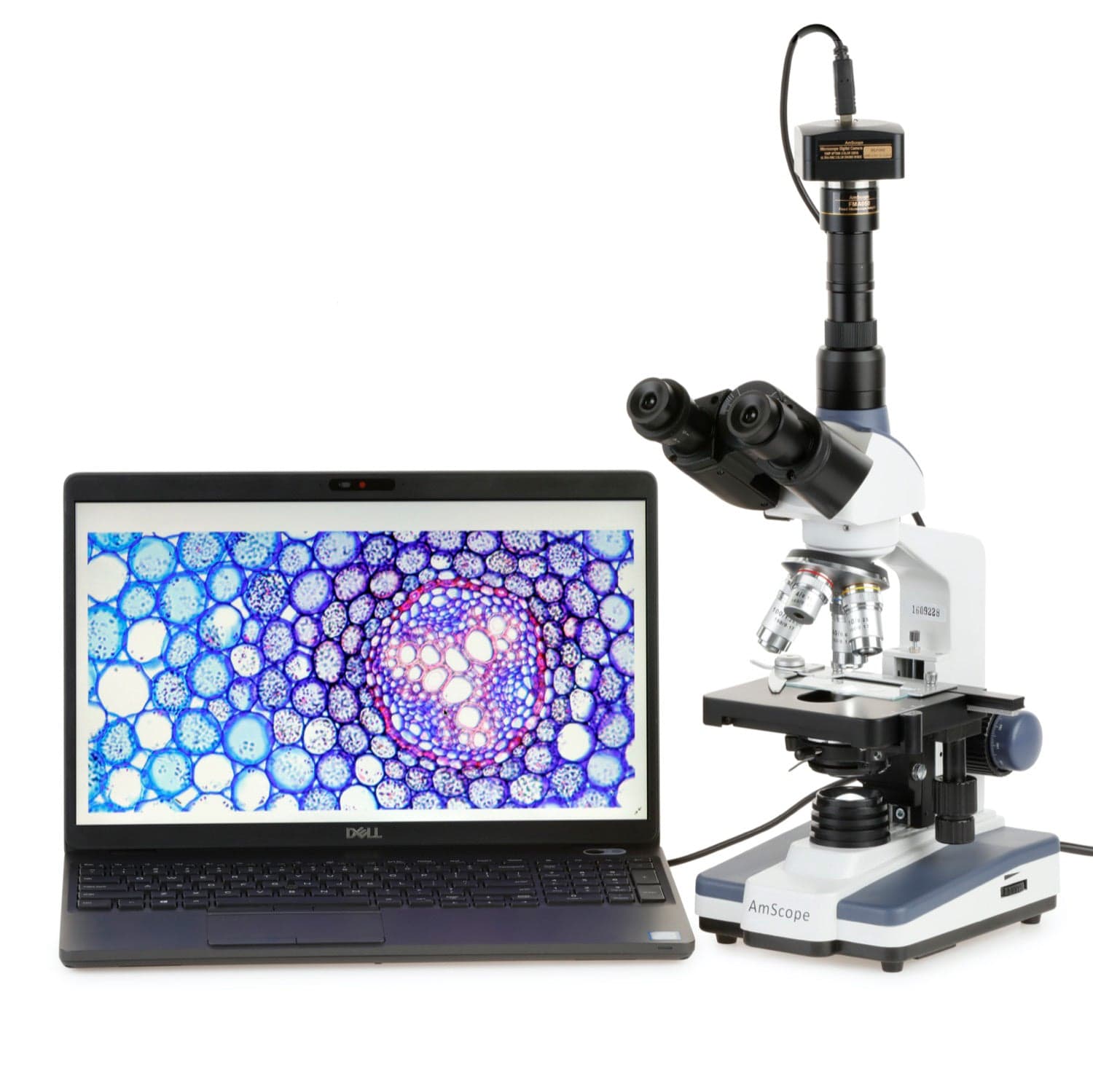 AmScope T120 Series Student and Professional Trinocular Compound Microscope 40X-2500X Magnification with LED, 3d Mechanical Stage, Siedentopf Head and