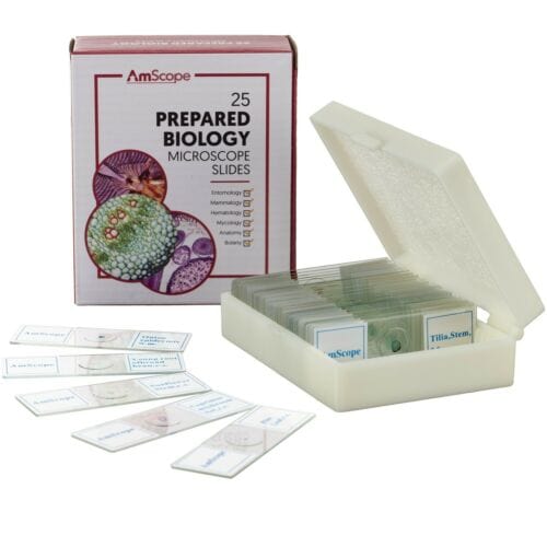 AmScope 25pc Prepared Glass Microscope Slides in Plastic Case with Plant, Fungus, Insect and Mammal Specimens
