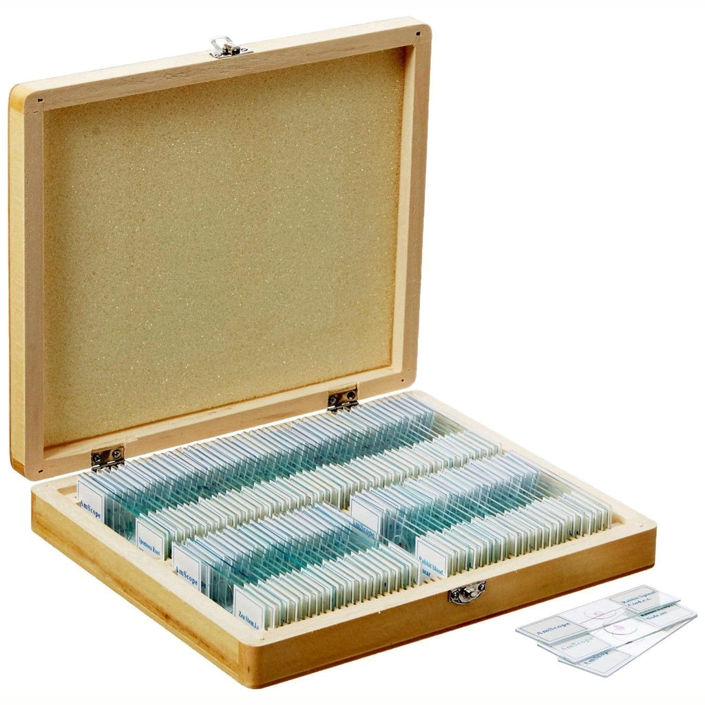 AmScope 100pc Prepared Glass Microscope Slides in Wood Case with Plant/Botany, Bacteria & Fungus Specimens - SET E