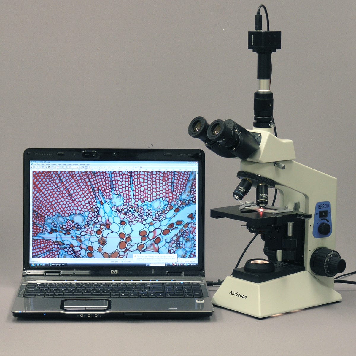 AmScope T580 Series Biological Research Grade Simul-Focal Trinocular Compound Microscope 40X-2000X Magnification with 20W Halogen, 3D Mechanical Stage