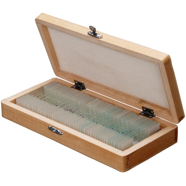 Magniscope Slides AmScope 50pc Prepared Glass Microscope Slides in Wood Case with Plant ...