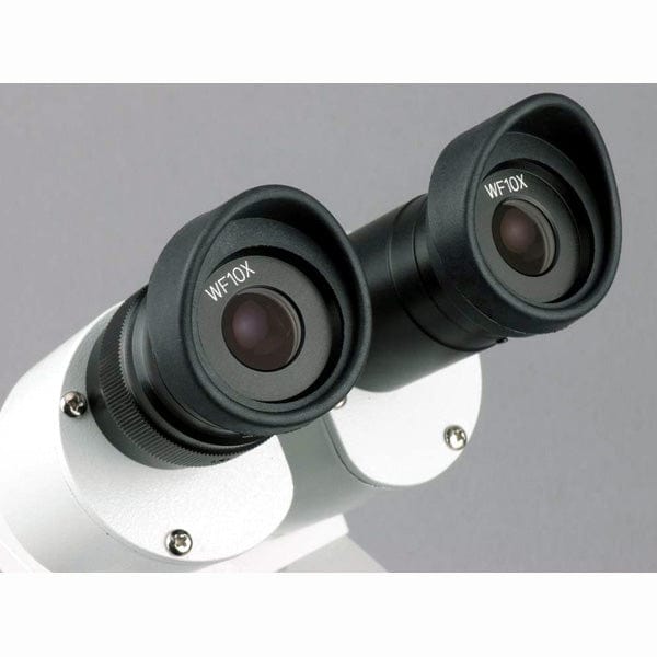 AmScope SE306 Series Compact Multi-Lens Binocular Stereo Microscope 20X-40X Magnification with Angled Head, Metal Pillar Stand, Top & Bottom Halogen Lighting, 1MP Digital Eyepiece Camera