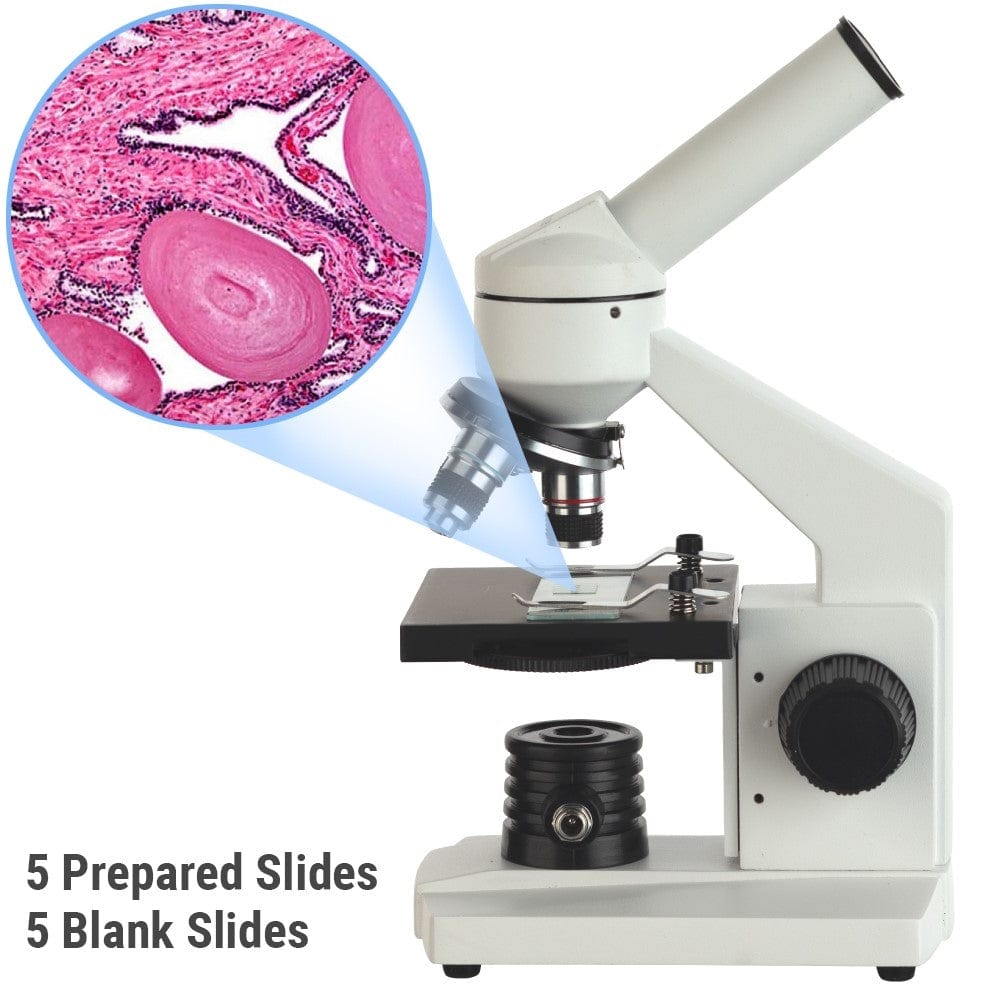 AmScope M102 Series Monocular LED Metal Frame Compound Microscope 40X ...